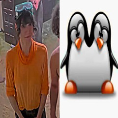 penguin 🐧 (p. ???)