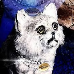 Botch - Japam (Cover)