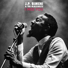 I Miss You (Radio Edit) – J.P. Bimeni