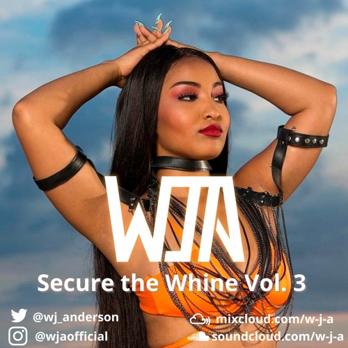 Secure the Whine Vol. 3 - Dancehall, Bashment
