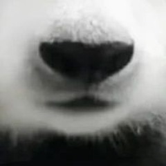 u,__,U