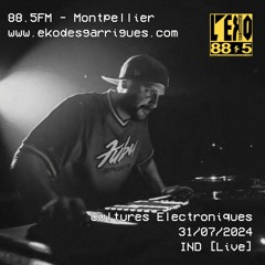 Cultures Electroniques: IND [31/07/2024]
