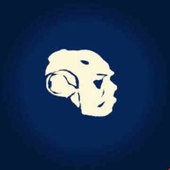 The Sounds of Jt Skyy Originals