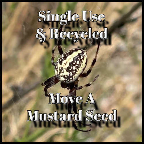 Move A Mustard Seed w/Rob Olsson