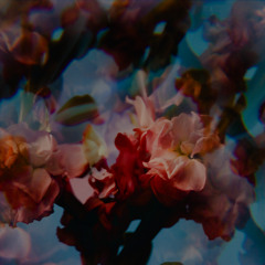 Best Life (feat. JONAH)