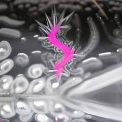 Big Body Polo (Astori & Bbmevis)