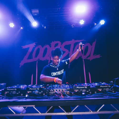 HAMDI-Counting (Zoobstool Edit)