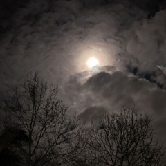 talking to the moon