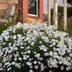 Open vessel (Lord, thank you that it’s normal to love You)