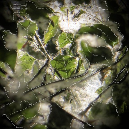 showers with sunny intervals