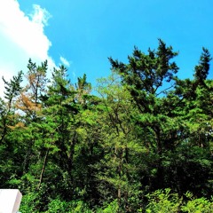 Set Me Free (Prod. StoneSoWavy!)