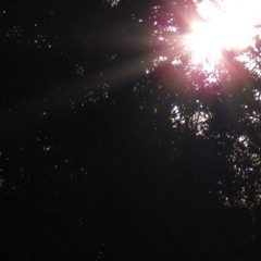 Tu Locura (Gustavo Cerati cover)