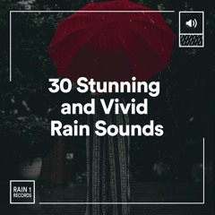 Vividly Rain, Pt. 15