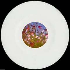 GIFT TRACK | Hostox - Check In | FREE DOWNLOAD