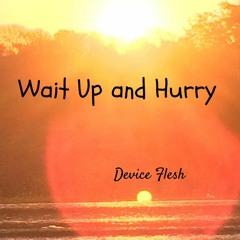 Wait Up And Hurry (single edit)