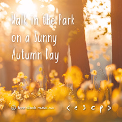 Walk in the Park on a Sunny Autumn Day