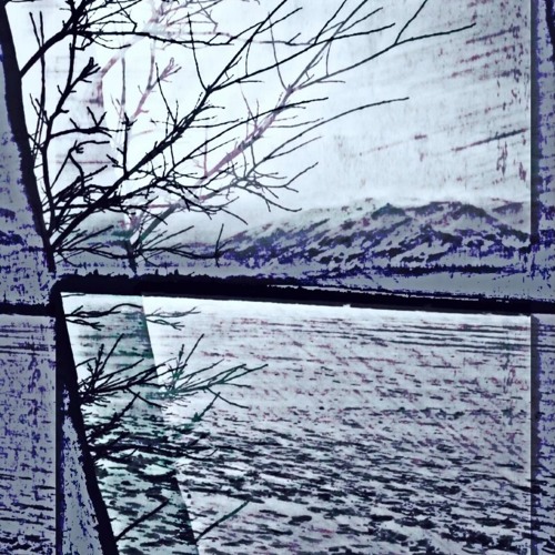 Broken Branches (PROD. STILLPOOR)