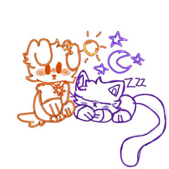 i have a cat on my lap