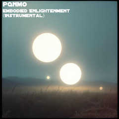 Embodied Enlightenment (Instrumental)
