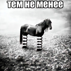 много #2038
