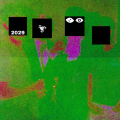 2029