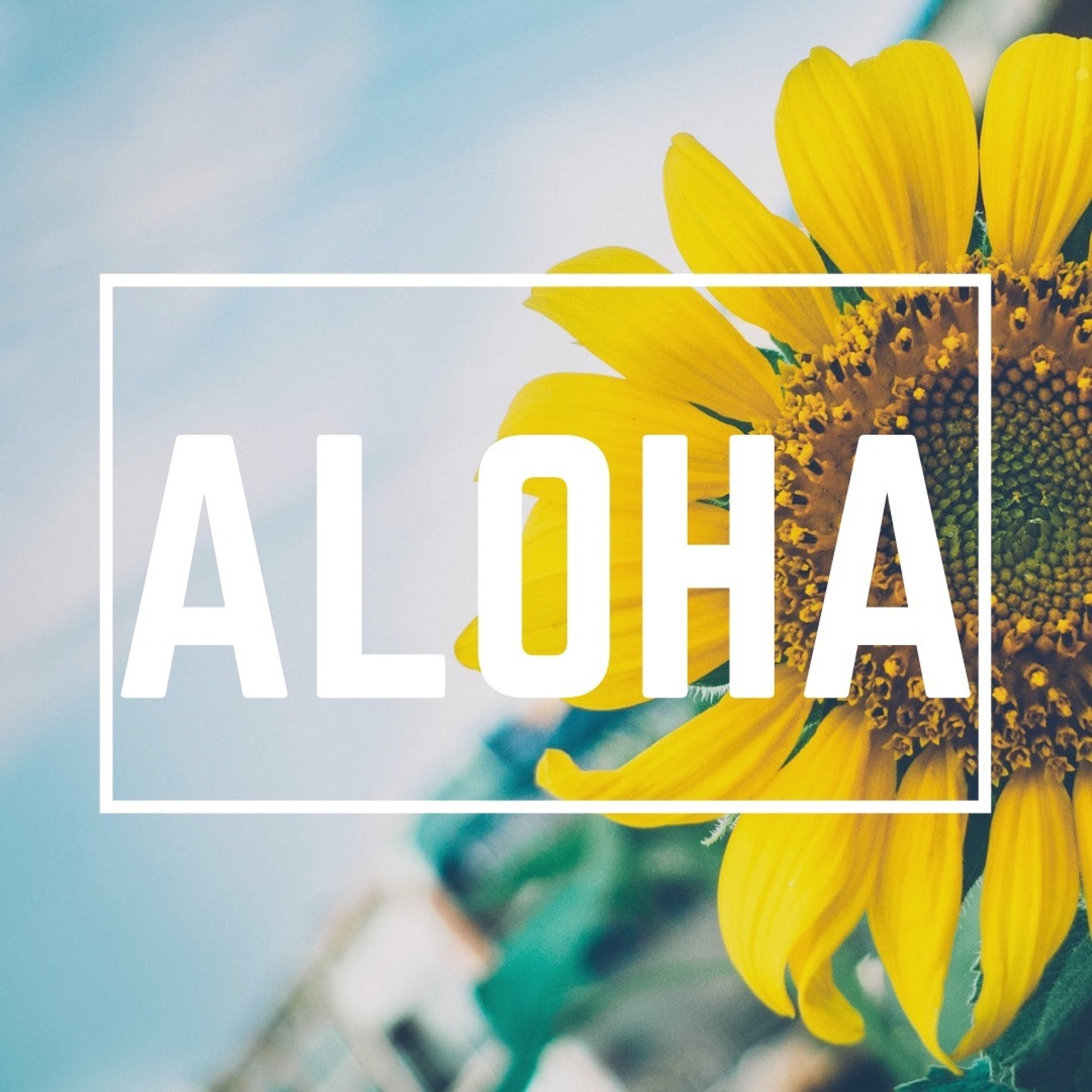 Aloha episode artwork