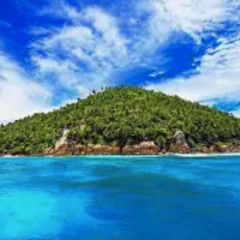 desert island female mo fo mix