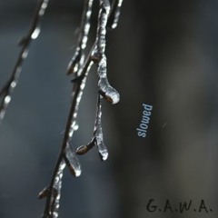 G.A.W.A.-Inspired me to life (Slowed)