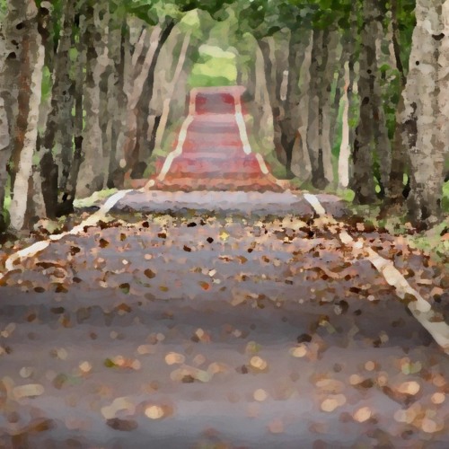 Walk In The Park