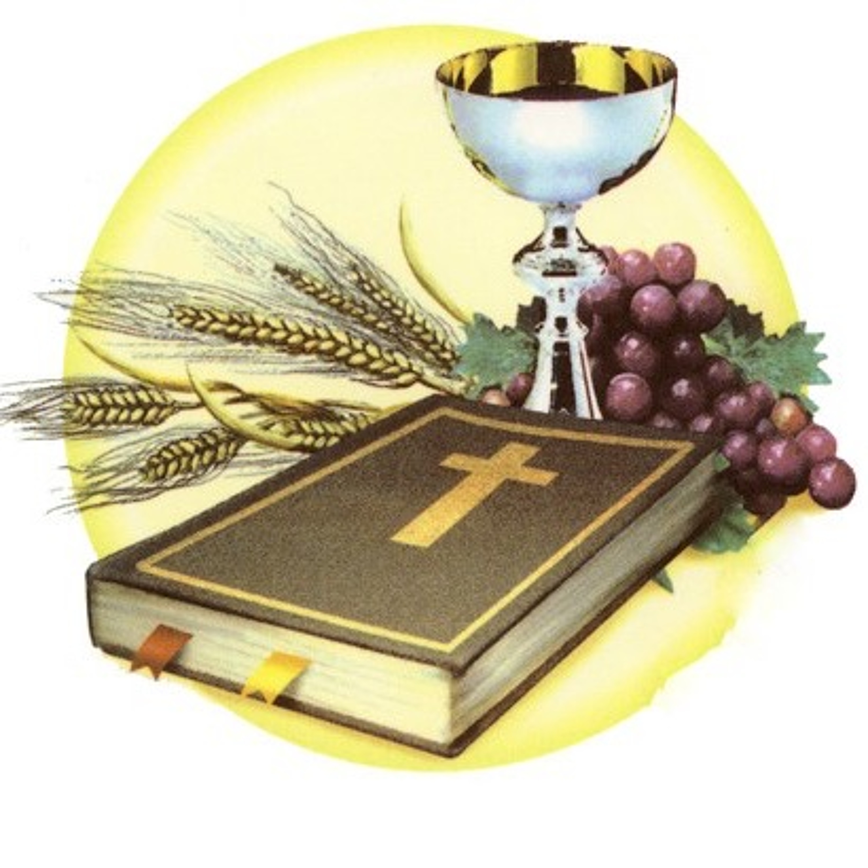 2023-2-12 The Sixth Sunday of Epiphany - First Communion Sunday episode artwork