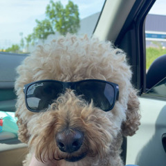 we groovin we coolin