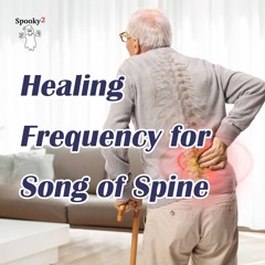 Healing Frequency for Song of Spine - Spooky2 Rife Frequencies