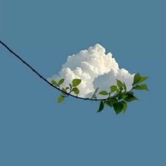 Precious Things Freestyle