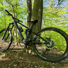 ride in the forest - DmZ instrumental