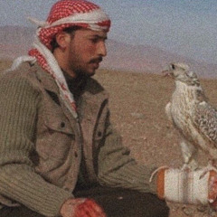 ياليتني من قبل لا احبه اقفيت