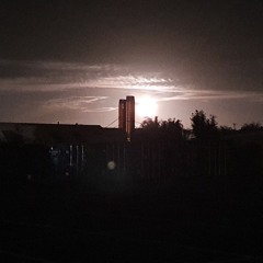 Feast At Night by Wolfbane & Codex Scolls