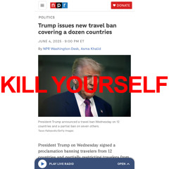 ronnyrx travel ban remix