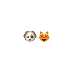 Dog & Cat - Alex Cook