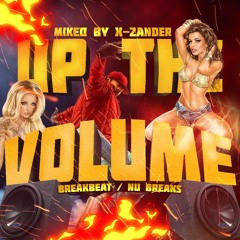 [breakbeat/nu breaks] Up The Volume (Live Mix 21.01.2022)