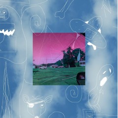 The Possum's Opinion Is Important