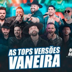 AS TOPS EM VERSÃO VANERA 2025 - SELEÇÃO ATUALIZADA(MP3_320K).mp3