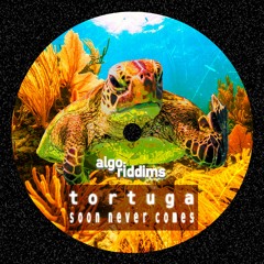 A:R PREMIERE: Soon Never Comes (Tortuga Remix)(FDL009)