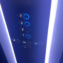 qlj
