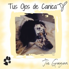 TUS OJOS DE CANICA