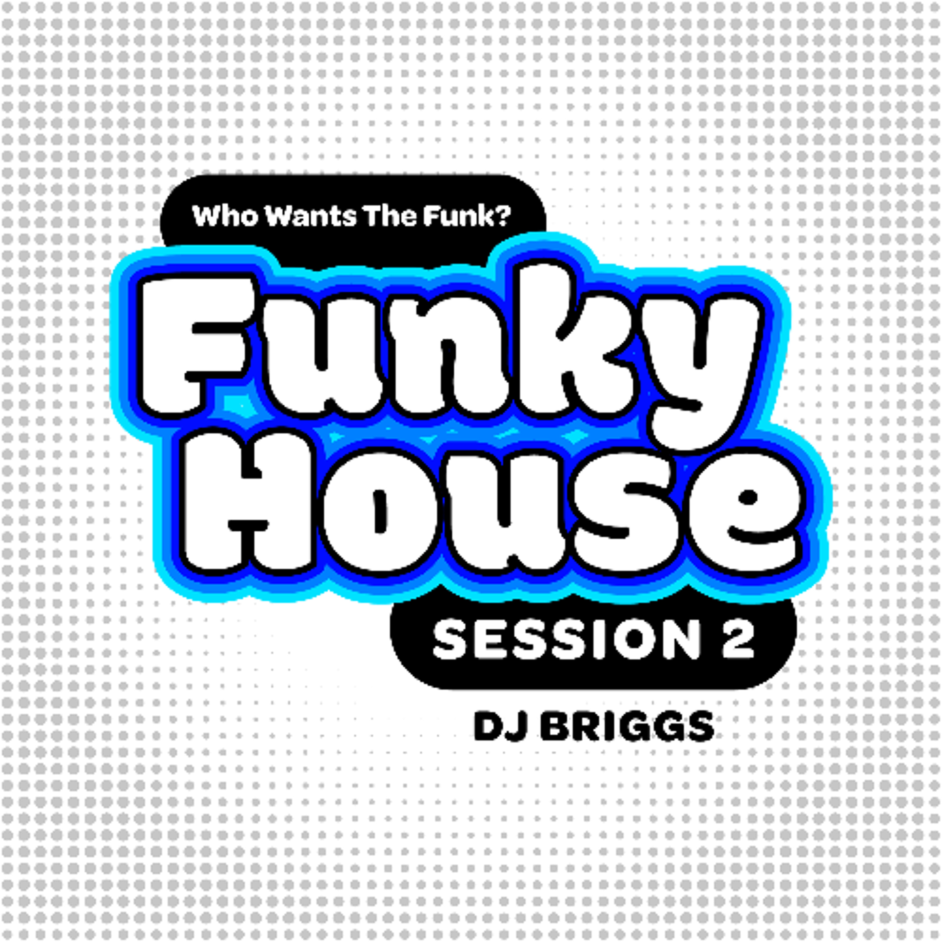 FUNKY-HOUSE-SESSION-2-DJ-BRIGGS episode artwork