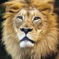 SELL MY SOUL 21 8 23