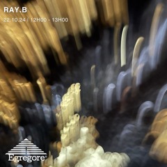Ray.B (Octobre 2024)