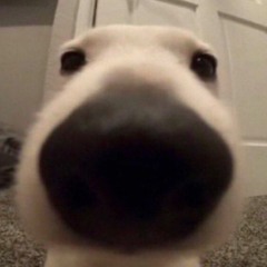 ten$hi - bmw prod sim & tjrlvv [aviothic exclusive]