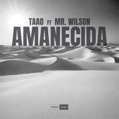 Amanecida (feat. Mr. Wilson)