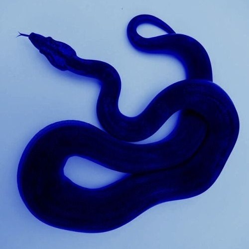 grupiokai-oras mums nesvarbu